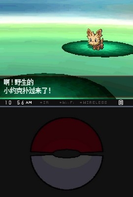 宝可梦黑白虫虫助手版2021.08.04.17