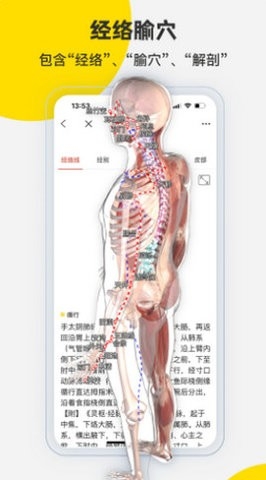 3dbody解剖app高清大图