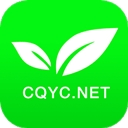 茶竹永川网app最新版