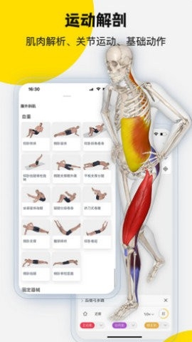 3dbody解剖app高清大图