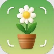 识花君拍照识别植物APP