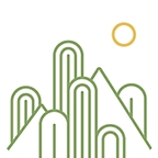 绿洲手机安卓版