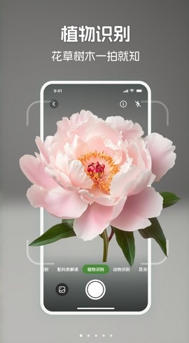 识花君拍照识别植物APP高清大图