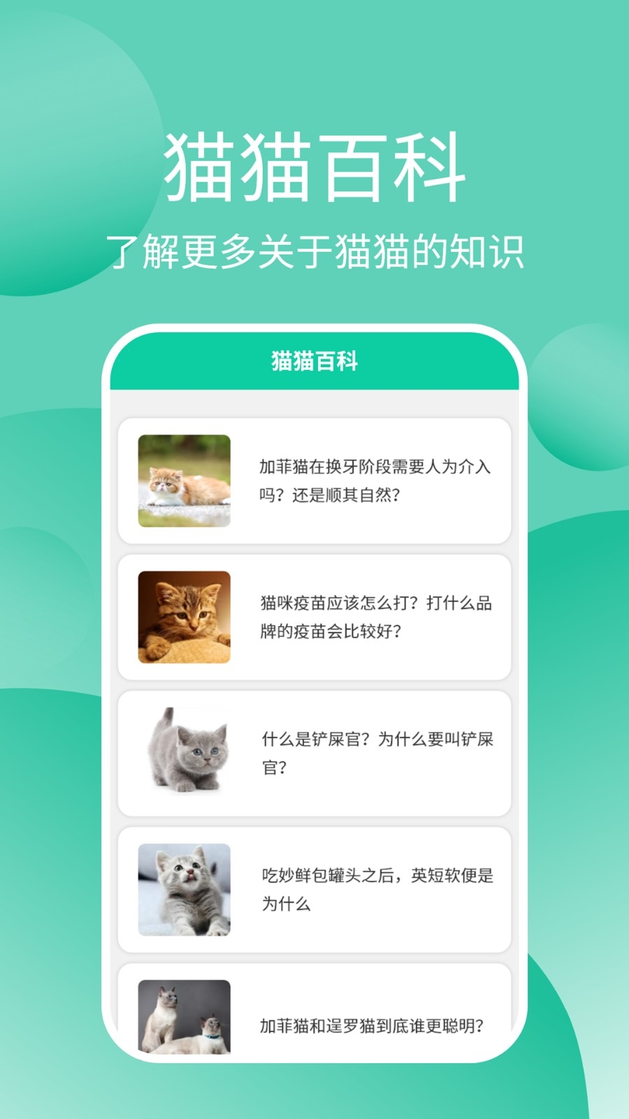 猫猫交流器app安卓官方版高清大图