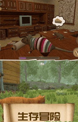 疯狂地鼠城正版最新版3.5.1