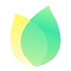 飞火动态壁纸手机安卓版