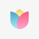 小米画报手机安卓版