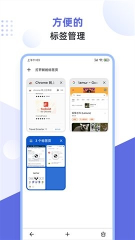 Lemur浏览器高清大图