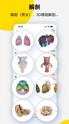 3dbody解剖app高清大图