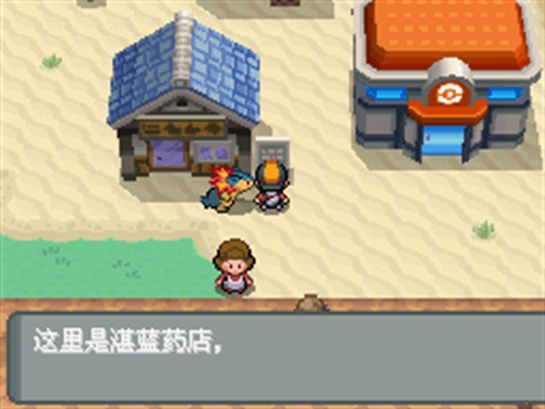 宝可梦心金安装4.9.2.4