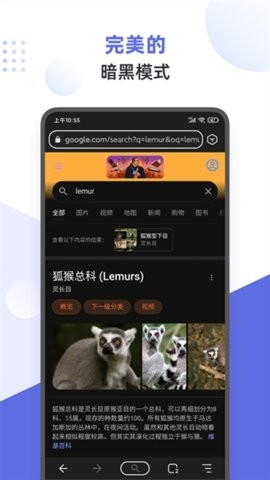 Lemur浏览器高清大图
