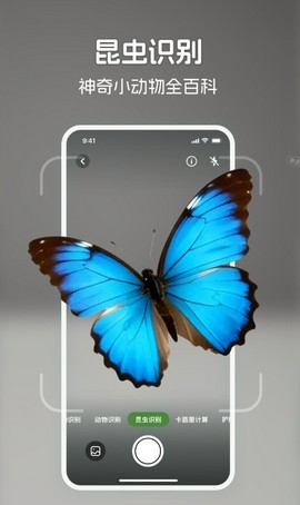 识花君拍照识别植物APP高清大图