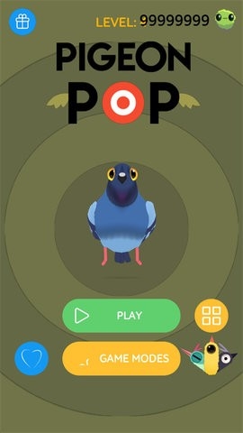 pigeon鸽子游戏22