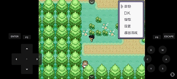 口袋妖怪燃之智安卓版1.0