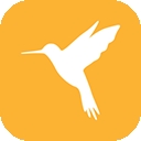 小黄鸟抓包软件官方版