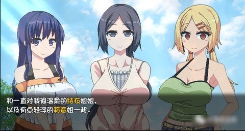 夏日狂想曲手机直装版1.0